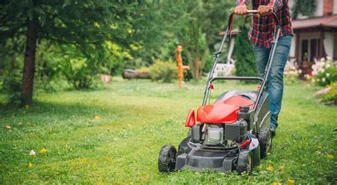 Best Mulching Mower Reviews And Buying Guide Gearsmag