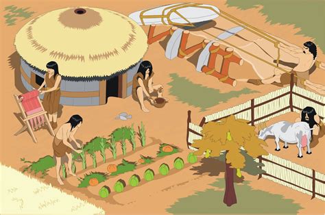 Haciendo Historia Descubrimiento De La Agricultura