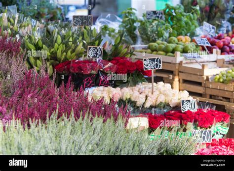Outdoor Flower Market In Copenhagen Denmark Stock Photo Alamy