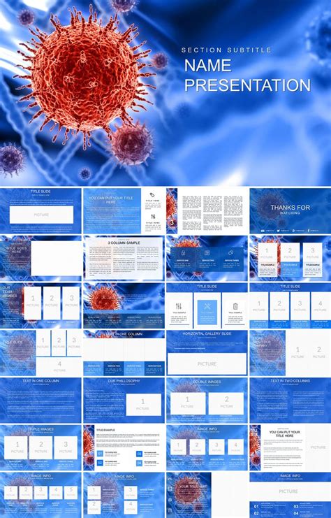 Types Of Viral Diseases Infectious Diseases Powerpoint Template In