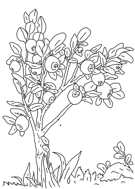 You can save your interactive online coloring pages that you have created in your gallery, print the coloring pages to your printer, or email them to friends and family. Blueberries coloring pages to download and print for free