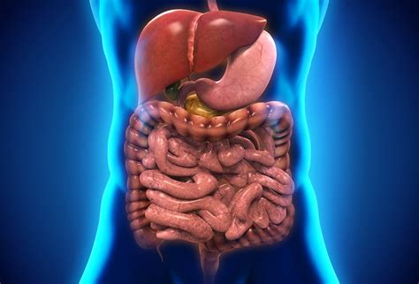 Severe Gastrointestinal Disease In Early Systemic Sclerosis Linked To