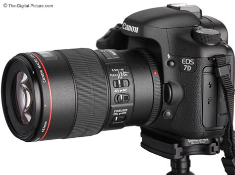 Canon Ef 100mm F28l Is Usm Macro Lens Review