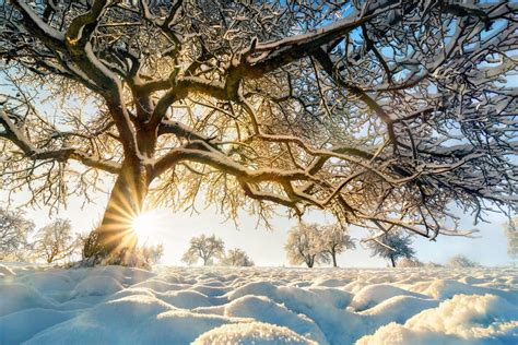 Winter Wunderland Bezaubernde Landschaften In Schnee Und Eis