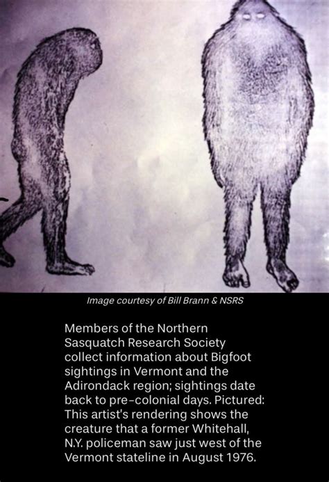 Whitehall Bigfoot Legendary Monsters Cryptozoology Bigfoot