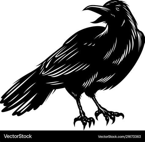 Black Raven Isolated On White Royalty Free Vector Image