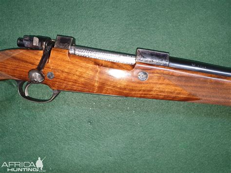 Behind the rear sight is marked cal. .505 Gibbs Browning By Dumoulin Herstal Belgium Rifle ...