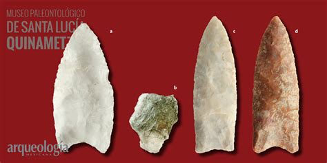 Evidencias De Los Primeros Pobladores En México Arqueología Mexicana