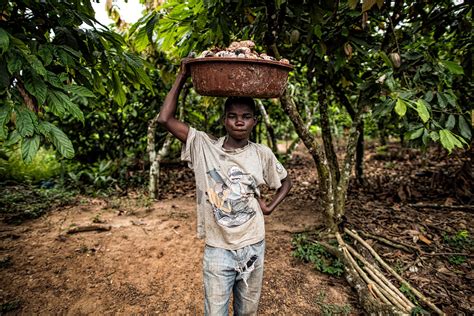 Child Labor And Slavery In The Chocolatecocoa Industry Spes Nova