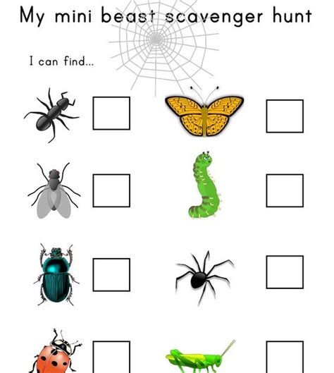 Fichas De Insectos Insects Worksheets Inglés English