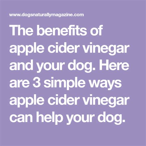 3 Simple Ways Apple Cider Vinegar Can Help Your Dog Apple Cider