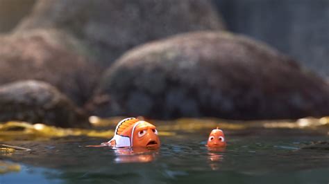 800x600 Resolution Nemo Screenshot Finding Dory Pixar Animation