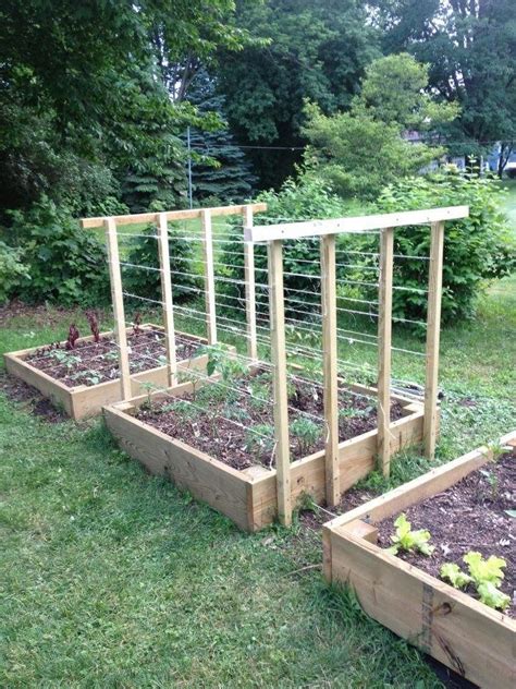 How To Make Trellis For Tomatoes My Jak Morris