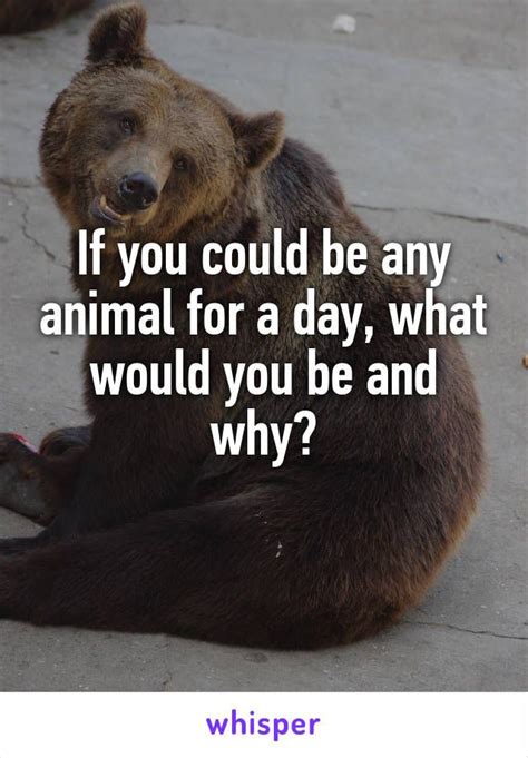 If You Could Be Any Animal For A Day What Would You Be And Why