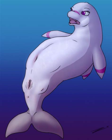 Rule 34 Anus Cetacean Chubby Crotchboobs Dolphin Female Feral Marine