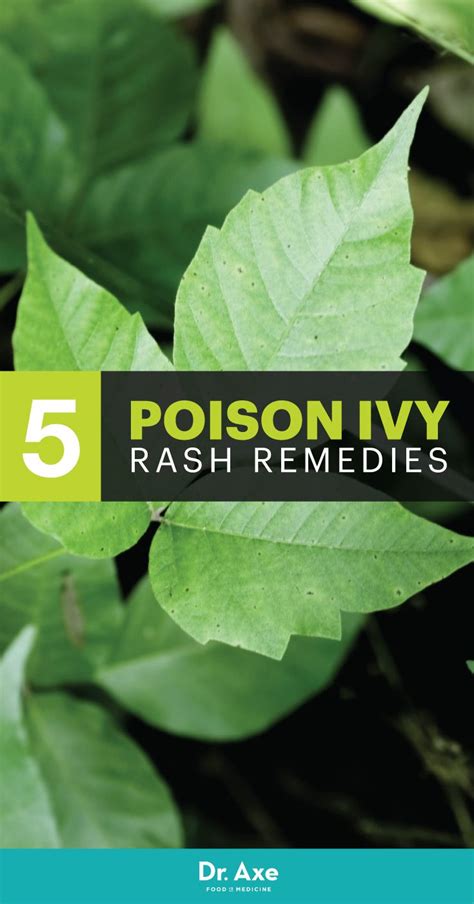 How To Get Rid Of Poison Ivy Rash Naturally Poison Ivy Rash Poison