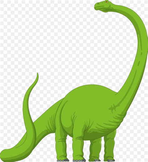 Brachiosaurus Diplodocus Apatosaurus Brontosaurus Clip Art Png 1165x1280px Brachiosaurus