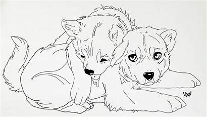 Wolf Wild Pup Lineart Coloring Pages Drawing