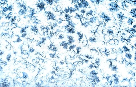 Frost Ice Crystal Abstract Background Pattern Stock Photo Image Of