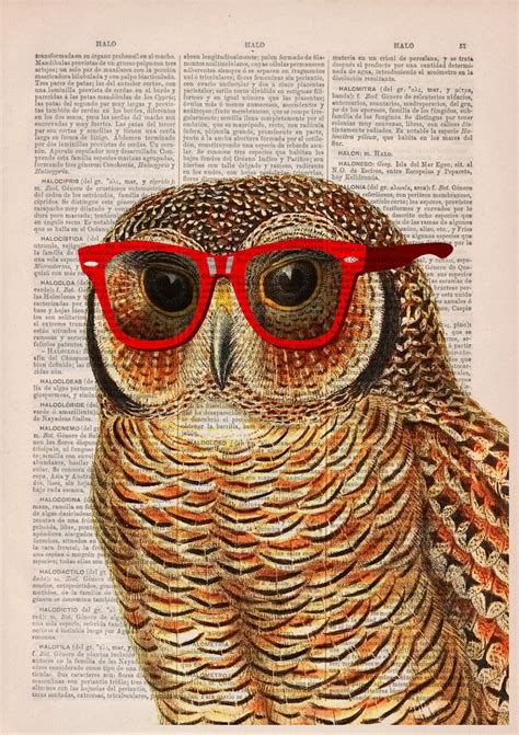 Cool Owl With Sunglasses Wall Decor Printed On Vintage Book Etsy