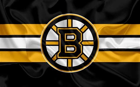 Boston Bruins Hockey Club Nhl Emblem Logo National Hockey League