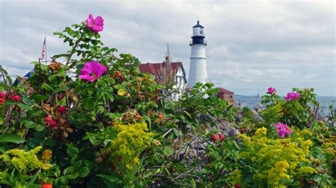 The Lighthouses Welcome Spring Pathways Of The Heart Lighthouse