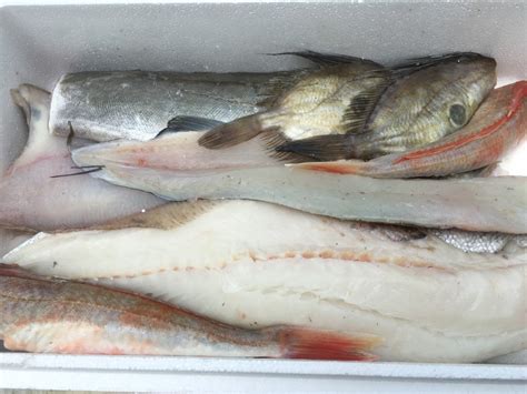 The Fish Box Club Have A Box Of Fresh Cornish Fish Delivered To Your