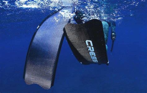 How To Use Freediving Fins A Beginners Guide Desertdivers