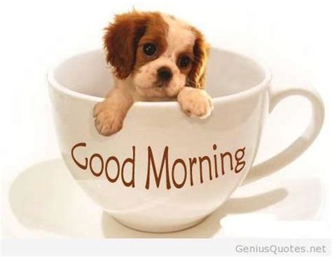 They will motivate you and help you start your day effectively. Good Morning From KneeBees Team :)! | KneeBees