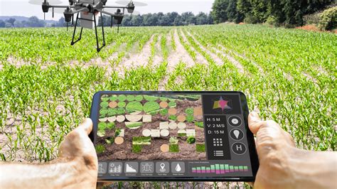 Precision Agriculture And The Challenges In 2021 Dataloop Blog