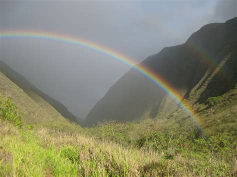 maui rainbow | Love rainbow, Rainbow waterfall, Under the rainbow