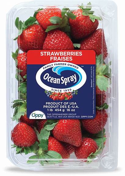 Strawberries Fresh Spray Ocean Oceanspray Sweet Farm