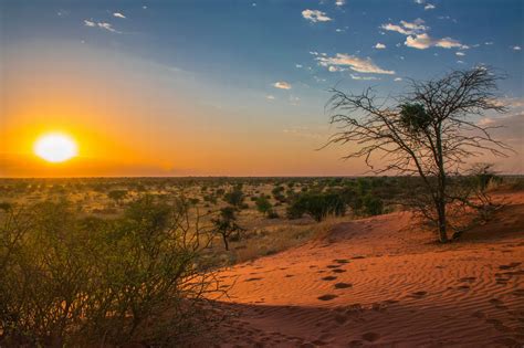 10 Spectacular Deserts In The World Including The Sahara And Sonoran