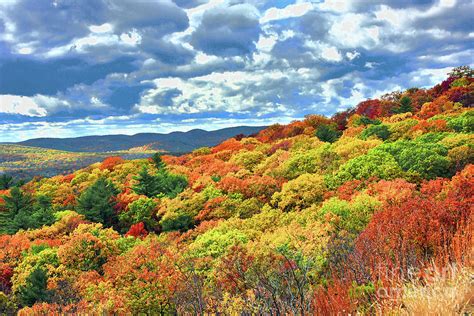 Bear Mountain Fall Foliage Vista Photograph By Regina Geoghan Pixels