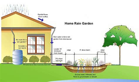 Rain gardens are great home projects because they appeal to both our practical and idealogical selves. Home Rain Garden Illustration | Rain garden, Garden ...