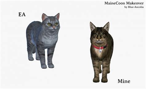 Maine Coon Makeover At Blue Ancolia Sims 4 Updates