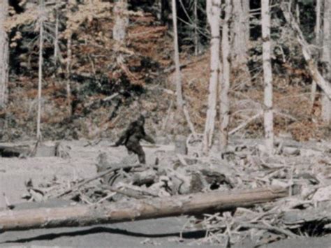 Fbi Releases Documents On Bigfoot From Records Vault National