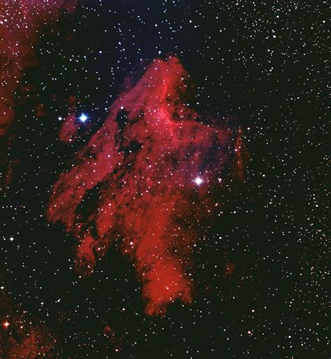 Ic 5070 Pelican Nebula Astronomy Pictures At Orion Telescopes