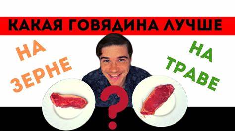 Диета на мясе карнивор