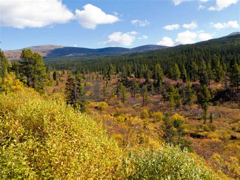 Royalty Free Image Fall In Northern Wilderness Yukon T Canada By Pilens
