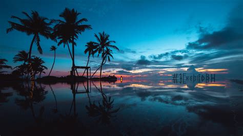 Download Wallpaper 3840x2160 Palm Trees Sunset Ocean Evening