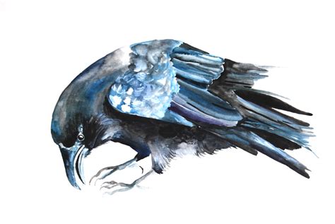 Watercolor Painting Crow Raven Bird Painting By Woodpigeon On Etsy