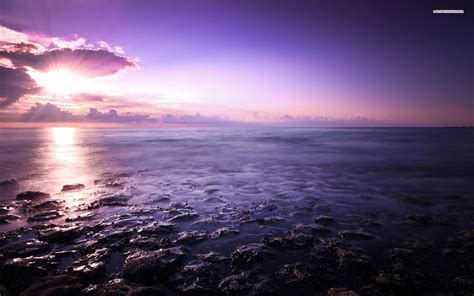 Purple Ocean Wallpapers Top Free Purple Ocean Backgrounds