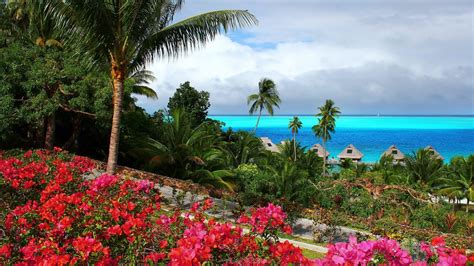 A Tropical Paradise Image Abyss