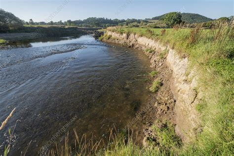 Eroding River Bank Stock Image C0574104 Science Photo Library