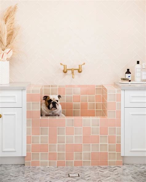We provide everything you need to give your companion a bathing experience fit for a canine king or queen. For dog owners, having an in-home dog wash is undoubtedly the dream: a dedicated space to rinse ...