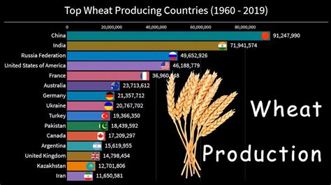 Top Wheat Producing Countries Wheat Production Youtube