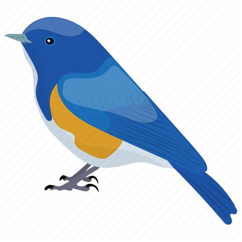 Bird Bluebirds Male Bluebird Passerine Songbird Icon Download On