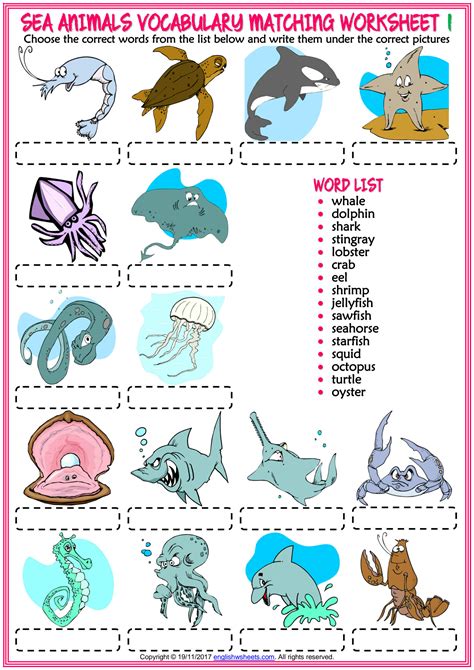 Solution Sea Animals Vocabulary Esl Matching Exercise Worksheets For