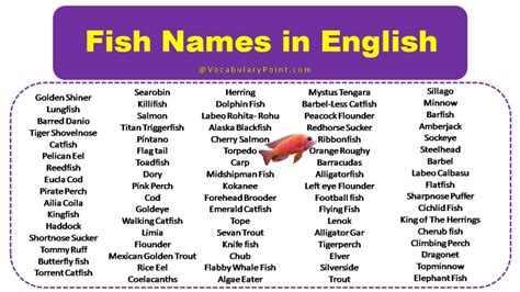 Fish Names In English Vocabulary Point